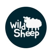 Wild Sheep