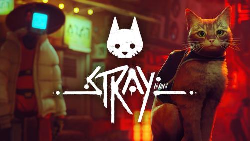 ستراي | Stray