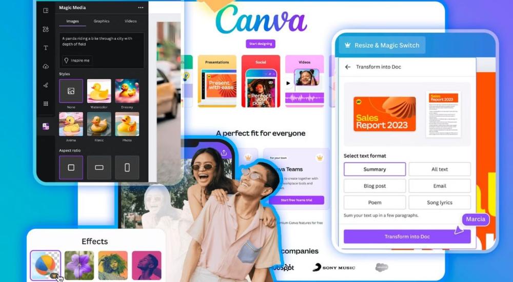 ما هو كانفا برو