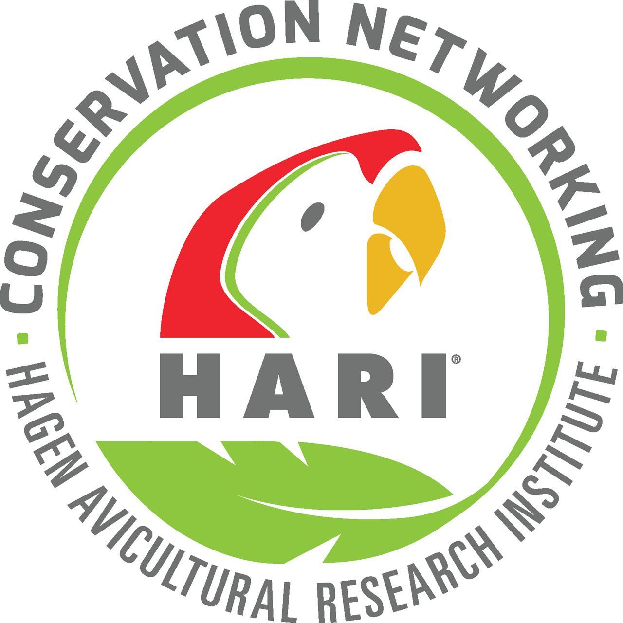 Hari