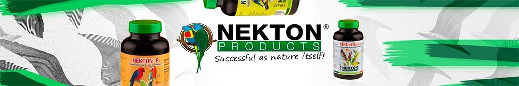 Nekton