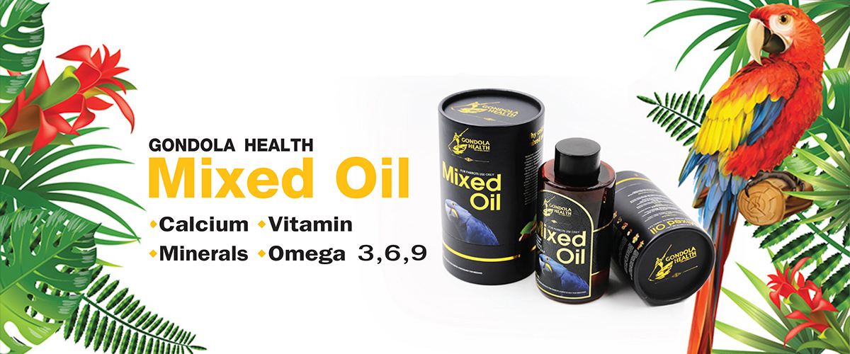 Gondola Health