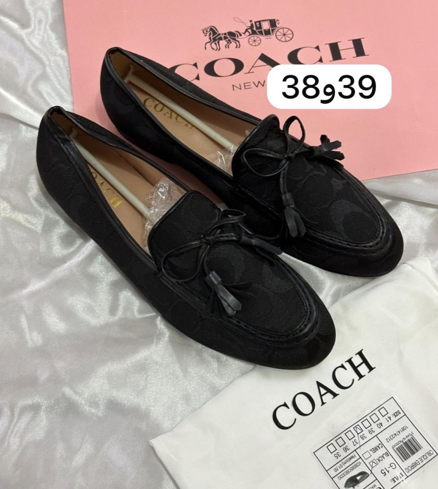 فلاتات عرض