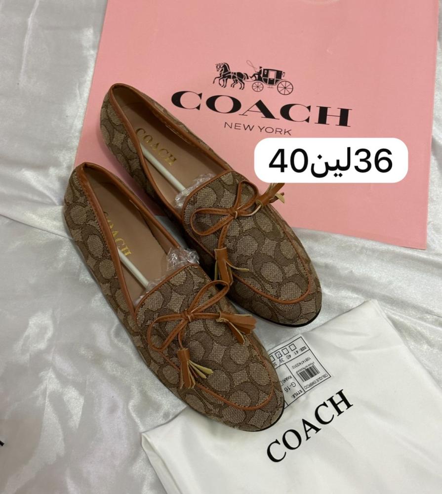 فلاتات عرض