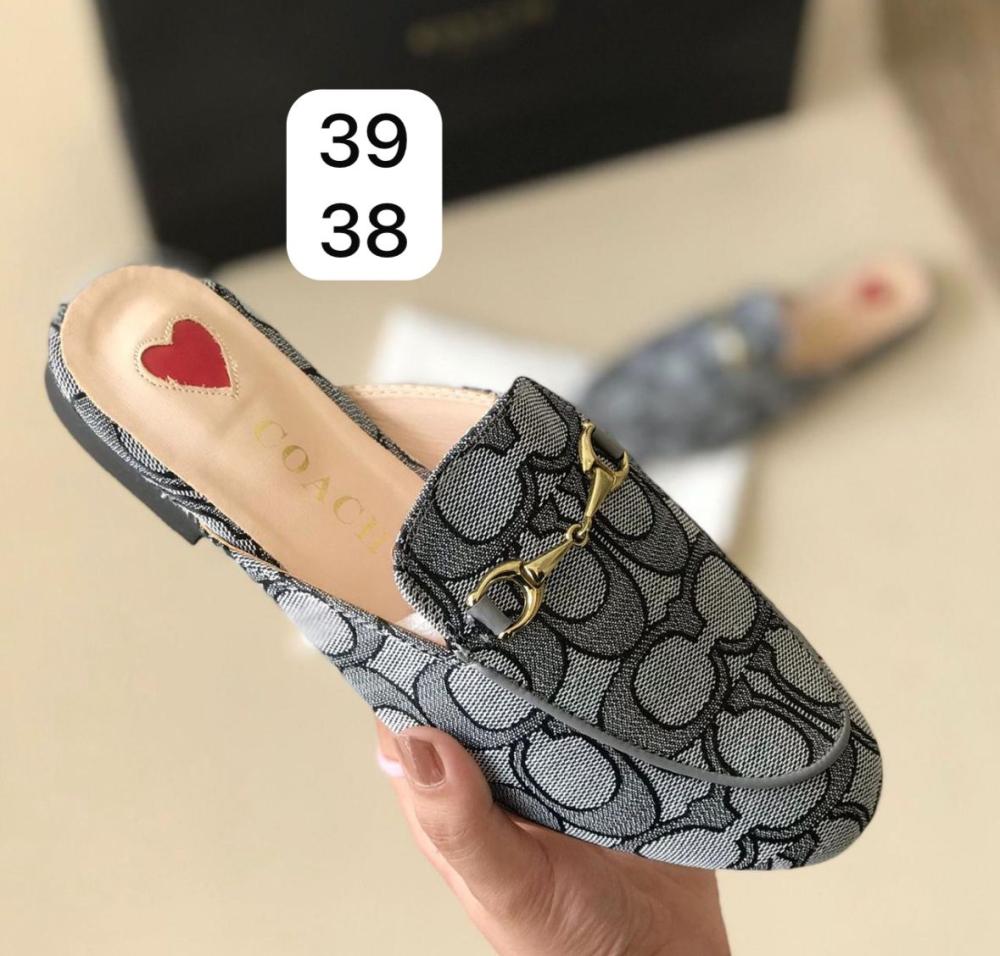فلاتات عرض