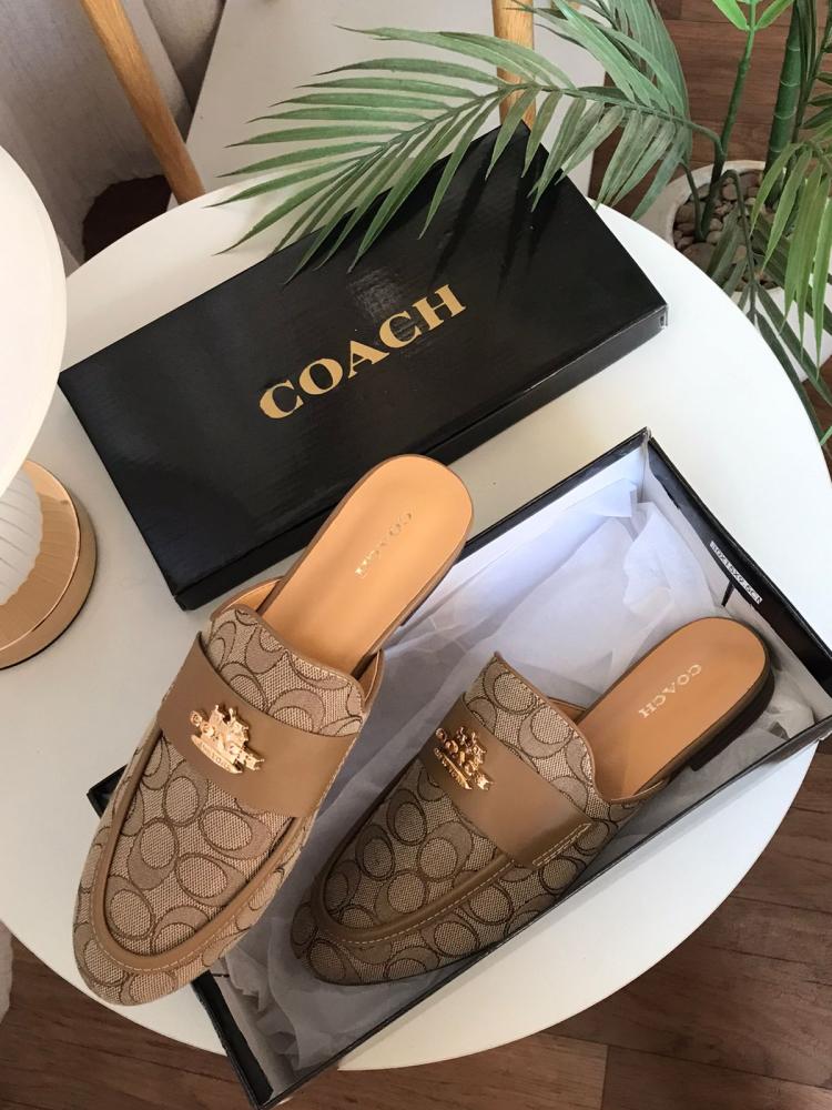 فلات كوتش هاي كوالتي ماستر فوري الرياض   CO10