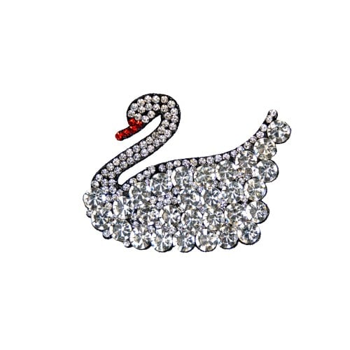 Silver swan