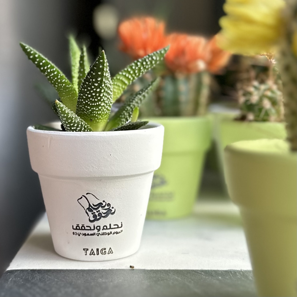 توزيعات اليوم الوطني