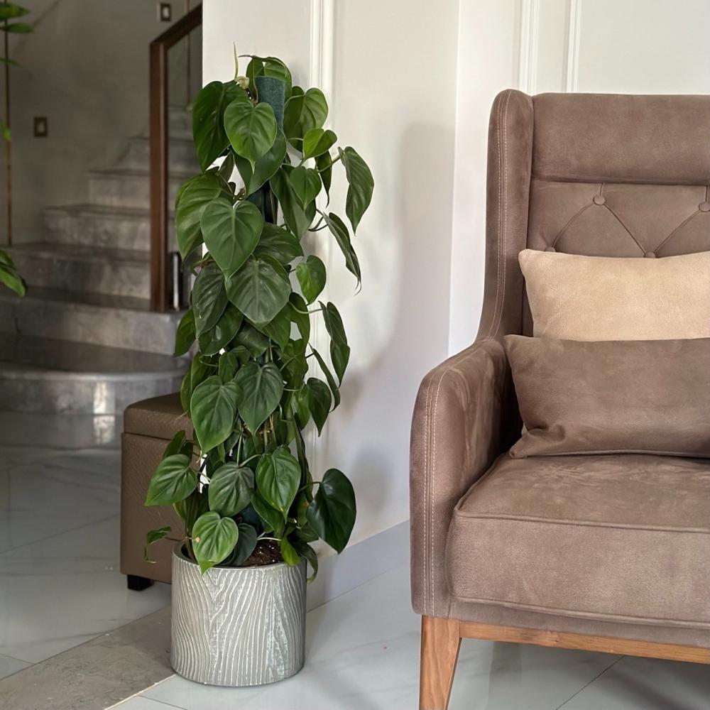 فيلندرون سكاندينس