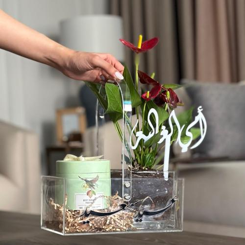 سلة نبات الانتوريوم + بوكس شوكلاتة