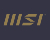 MSI
