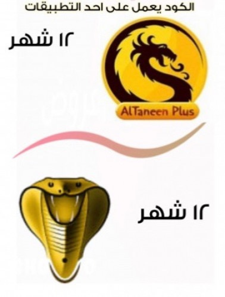 اشتراك كوبرا والتنين سنة