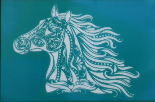 تصميم خيل بالزخارف (1)