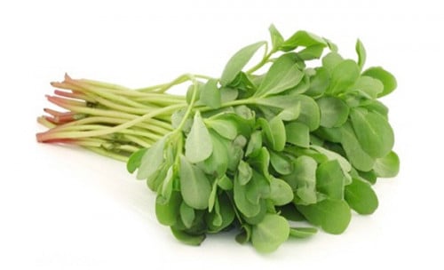 رجلة 1000 بذرة Purslane