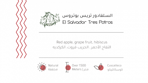 حبوب القهوة السلفادور تريس بوتروس المجفف من بيت ال...