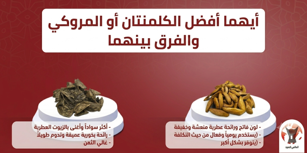 الفرق بين العود المروكي والكلمنتان