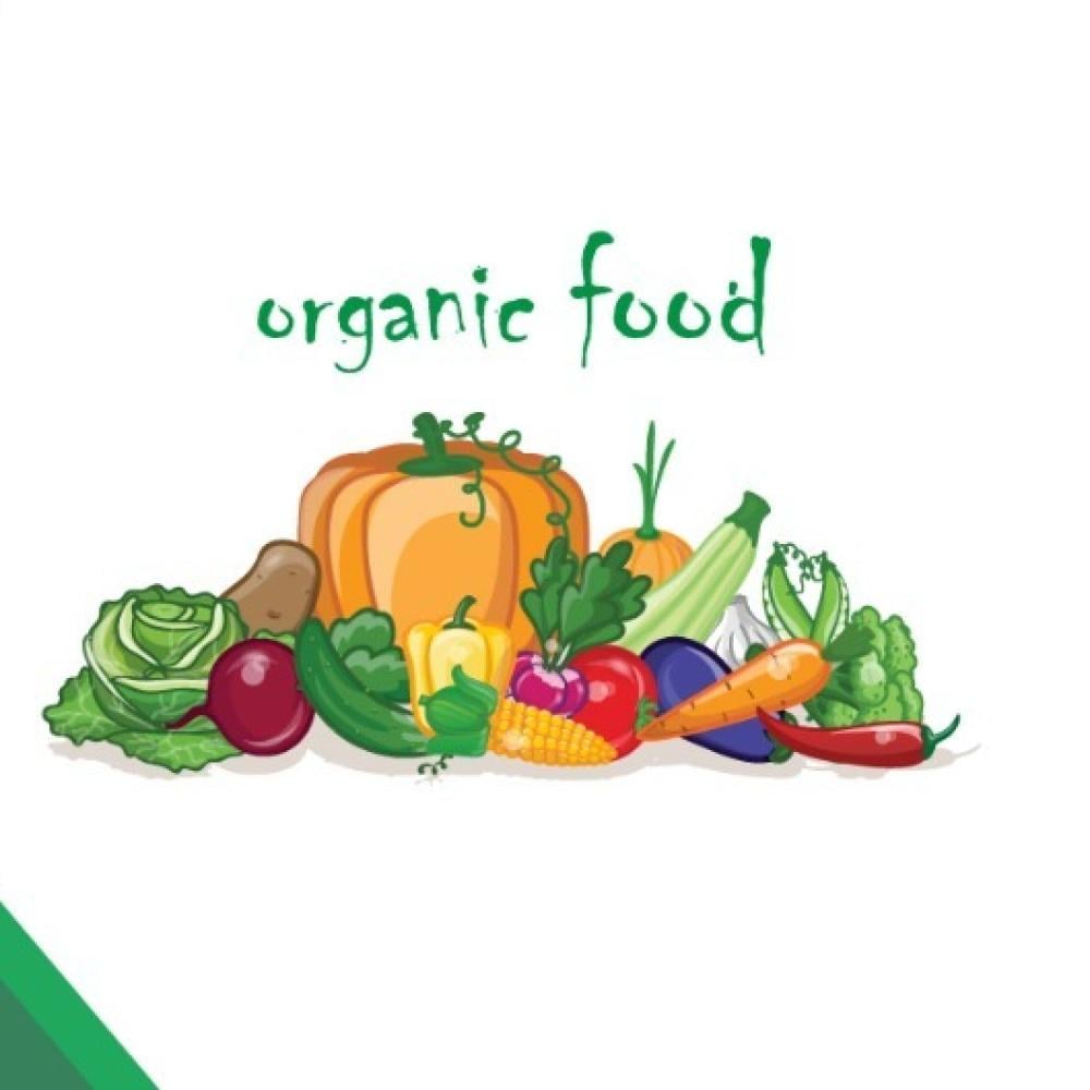 Organic and healthy food at the best prices in our store Dubai Fridge