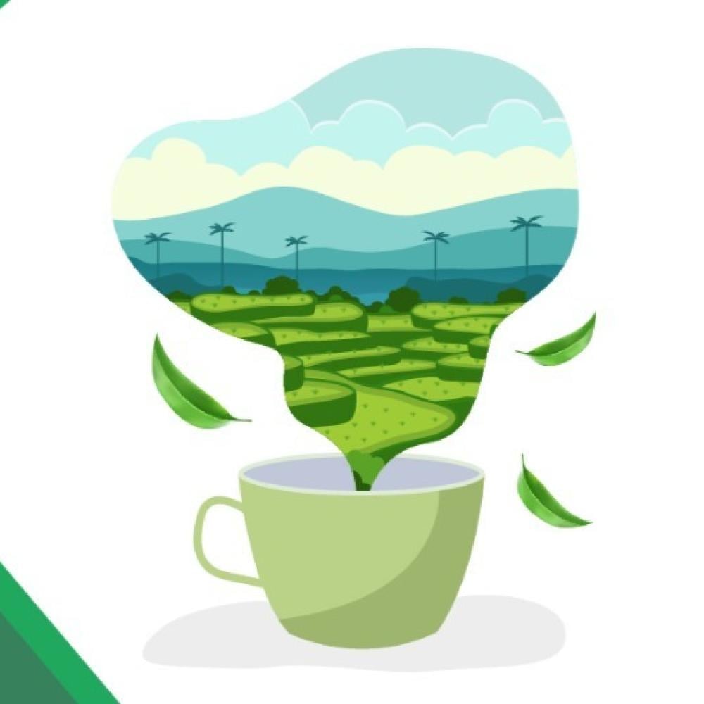Various challenges facing the tea industry