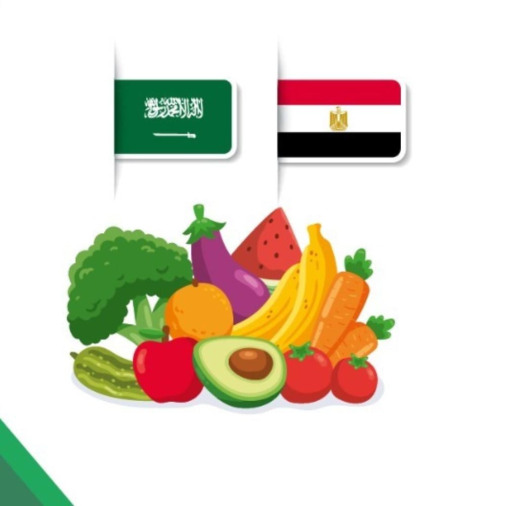 أفضل أنواع الخضروات للاستيراد من مصر إلى السعودية في عام 2025