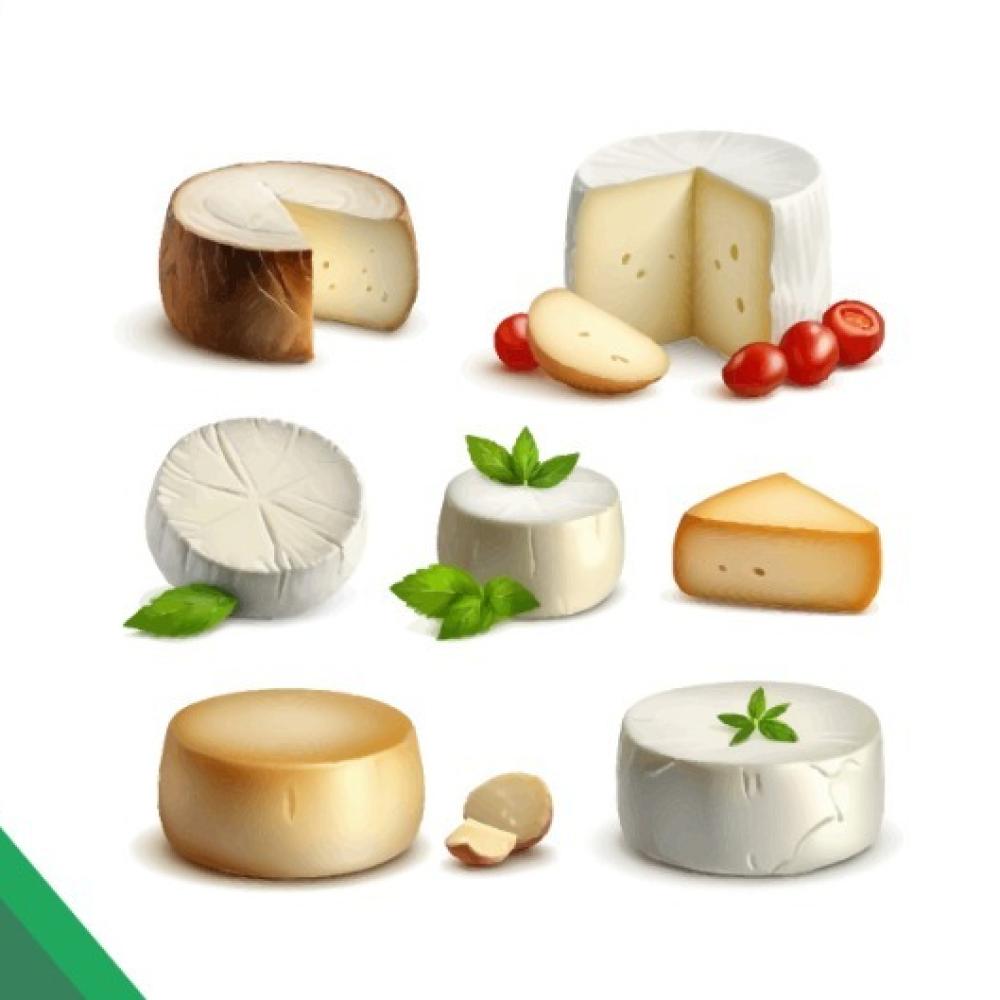Explore delicious white cheeses from around the world