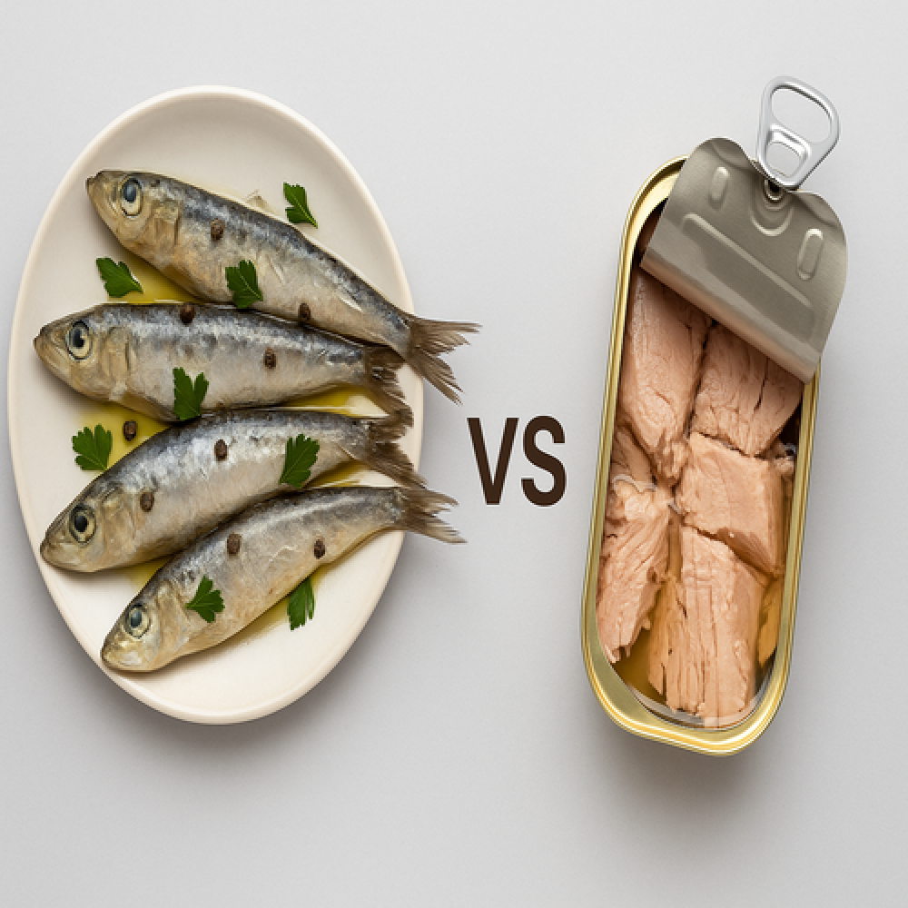 السردين أم التونة: أيهما أفضل للصحة والرجيم والقلب؟ مقارنة شاملة للفوا