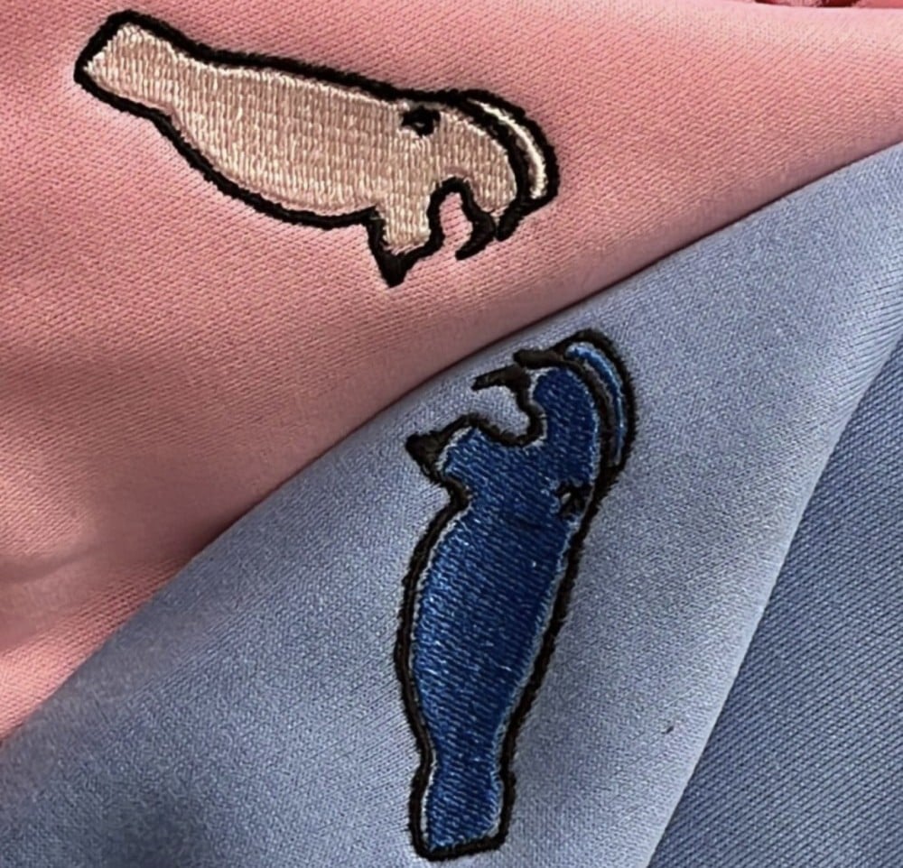 هودي ستيتش و انجل