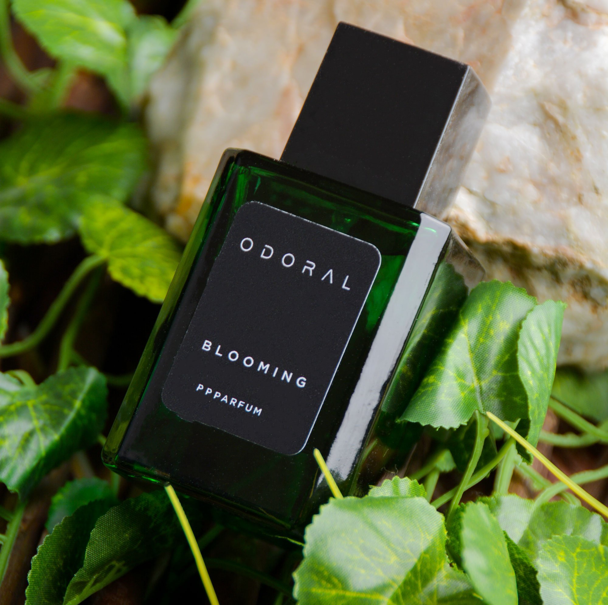 Odoral image-slider-0