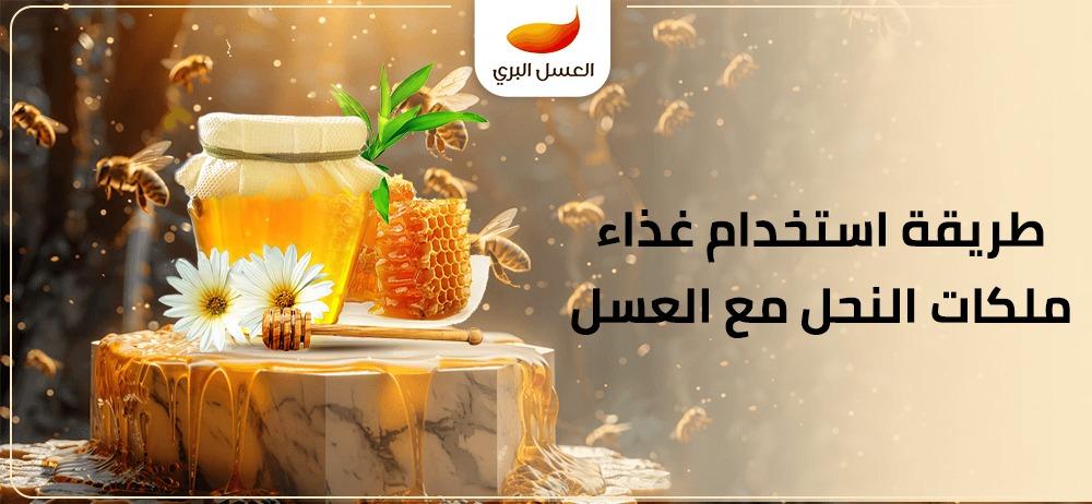 طريقة استخدام غذاء ملكات النحل مع العسل