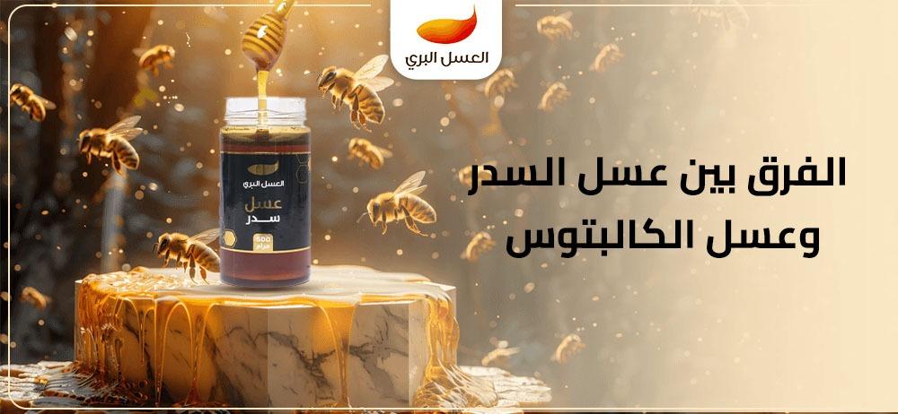 الفرق بين عسل السدر وعسل الكالبتوس