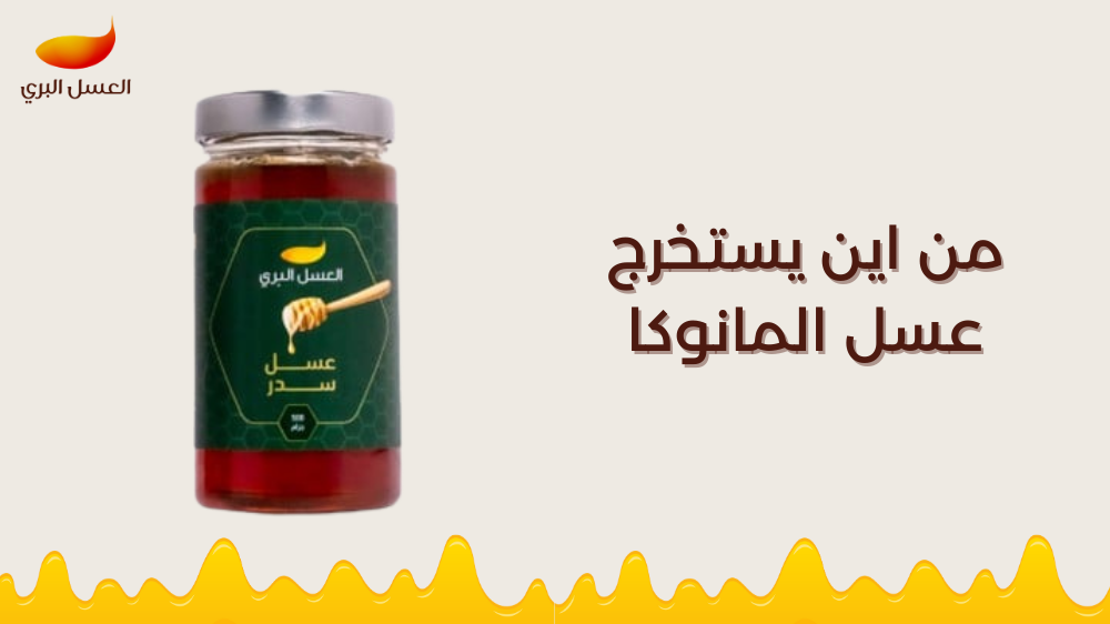 من اين يستخرج عسل المانوكا