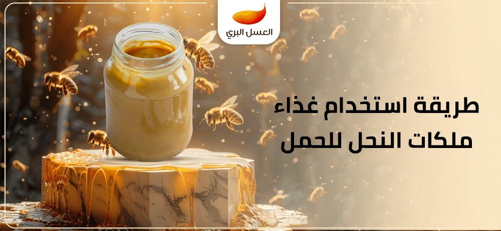 طريقة استخدام غذاء ملكات النحل للحمل