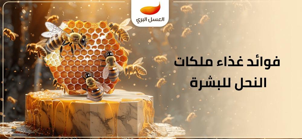 فوائد غذاء ملكات النحل للبشرة