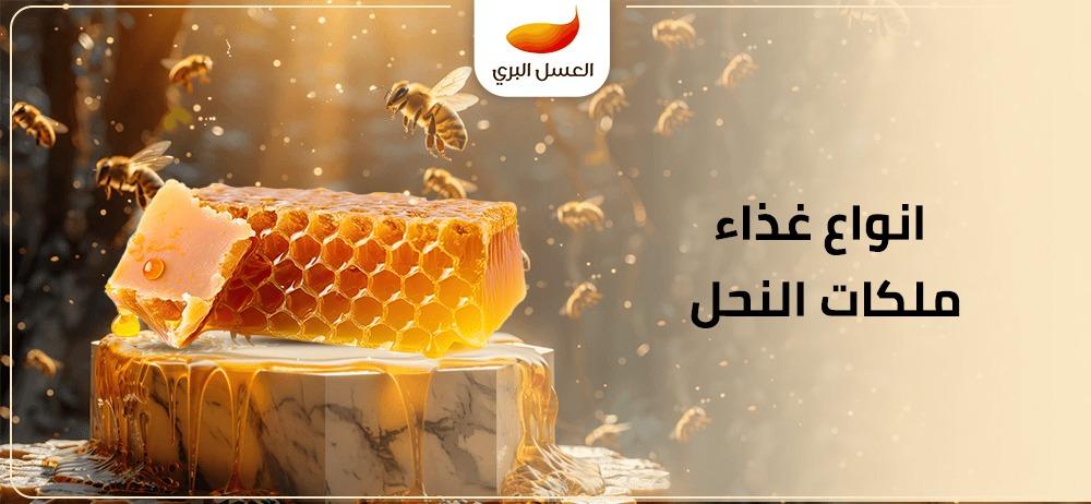 انواع غذاء ملكات النحل