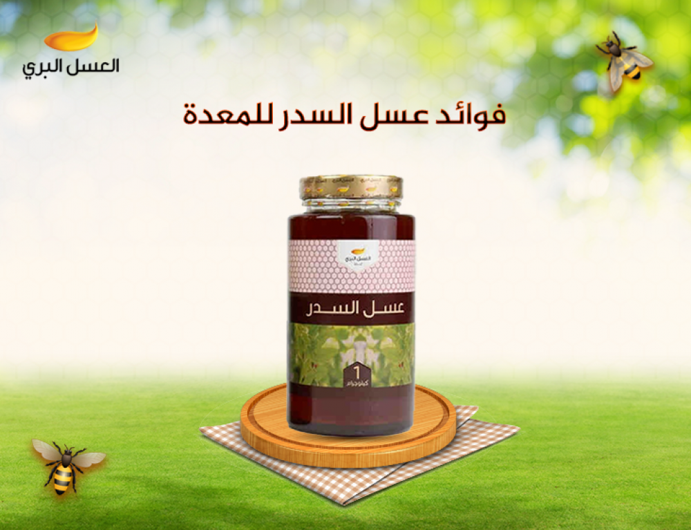 فوائد عسل السدر للمعدة