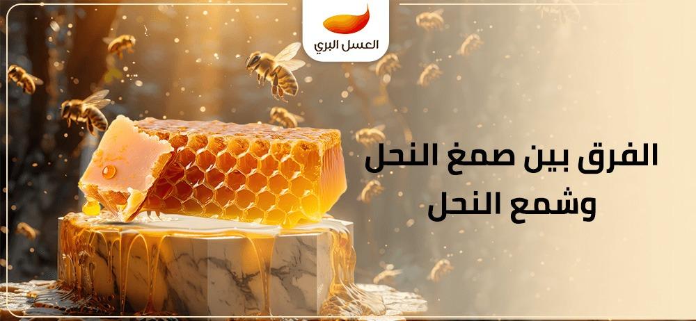 الفرق بين صمغ النحل وشمع النحل