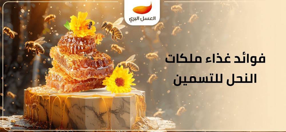 فوائد غذاء ملكات النحل للتسمين