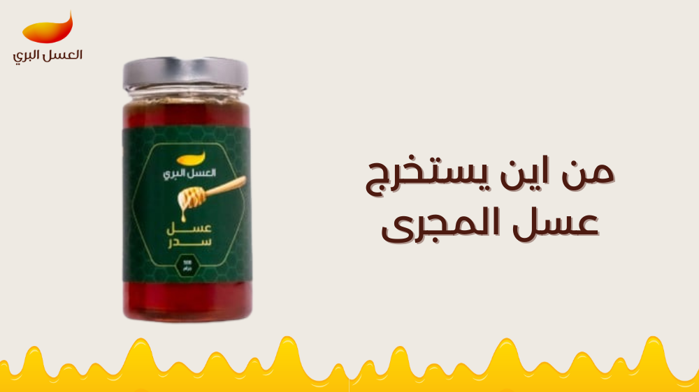 من اين يستخرج عسل المجرى