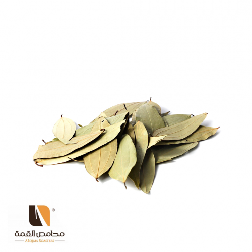 ورق غار