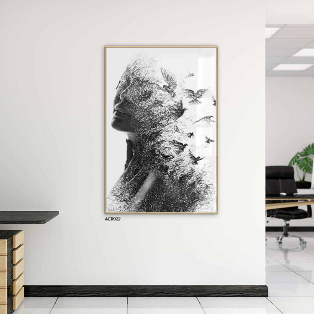 لوحة جدارية أكريليك تصور فتاة مع طيور، تدرجات من اللون الأسود والرمادي مع الأبيض