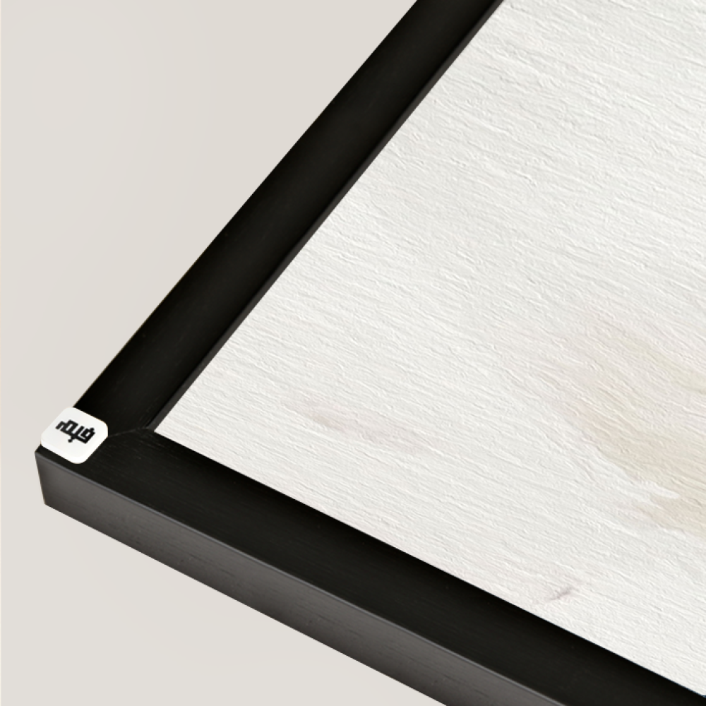 مجموعة لوحات جدارية فنية كانفس الوان