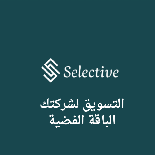 التسويق لشركتك (الباقة الفضية)