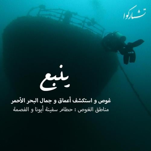 رحلة غوص حطام سفينة أيونا - ينبع