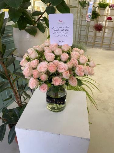 فازة الود