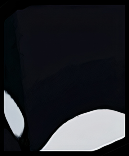 Huge orca