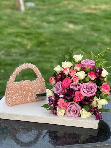 شنطة يد لؤلؤ نسائية Yusra Bag