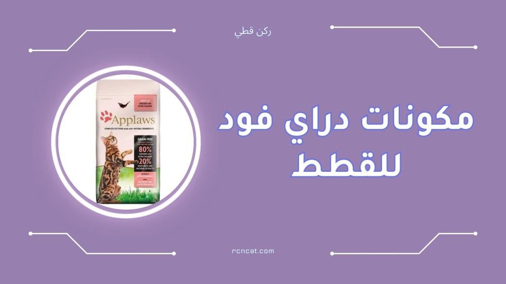 مكونات دراي فود للقطط وأفضل الأنواع الصحية