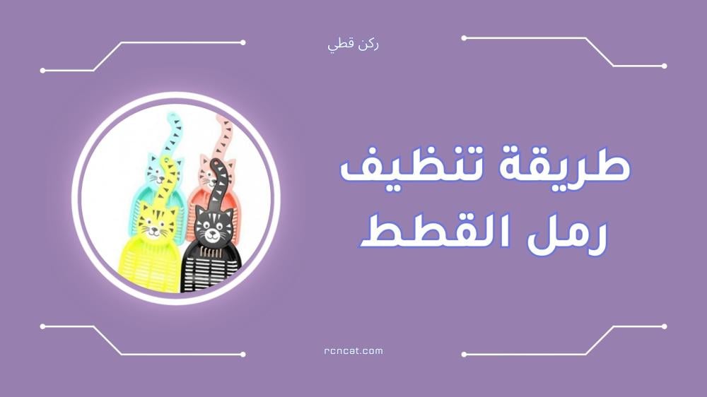 طريقة تنظيف رمل القطط بسهولة وبالخطوات المجربة