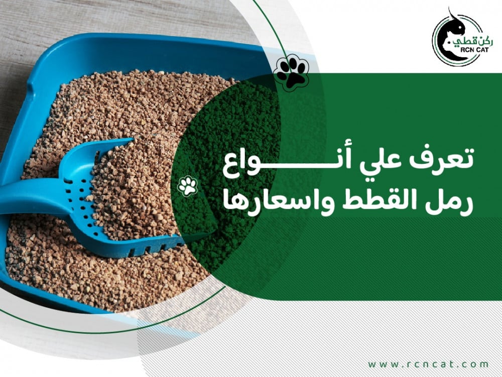 تعرف علي أنواع رمل القطط واسعارها