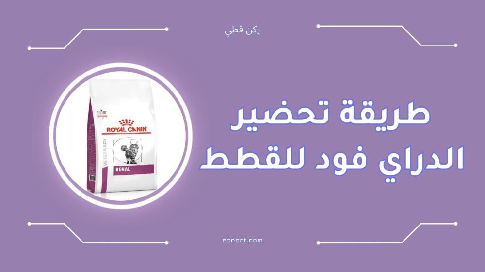 طريقة تحضير الدراي فود للقطط خطوة بخطوة