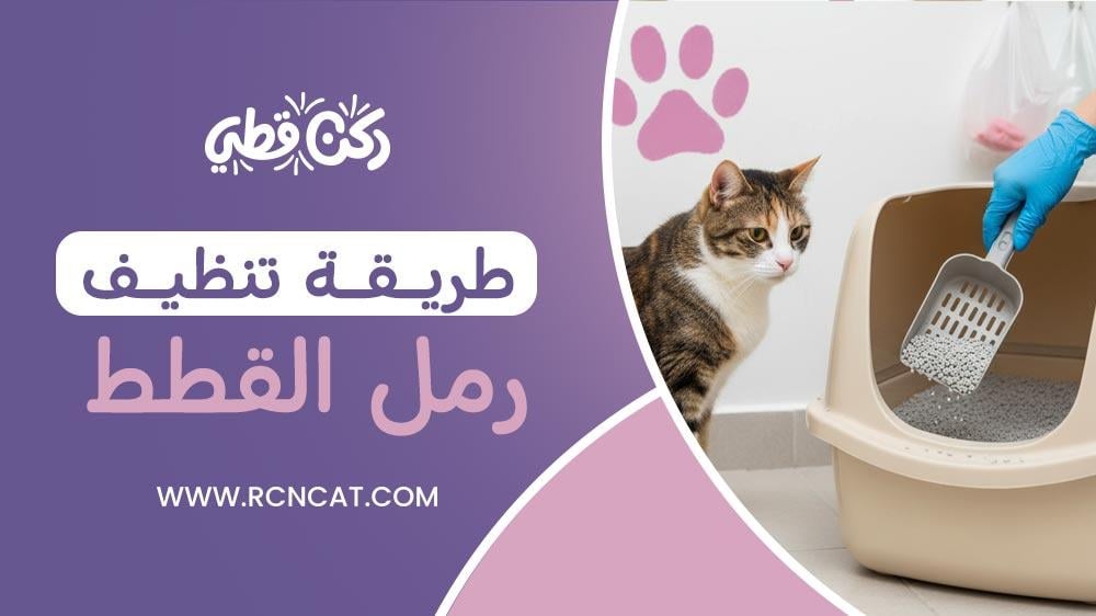 طريقة تنظيف رمل القطط بسهولة وبالخطوات المجربة